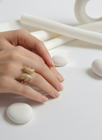 Funkcase Dual Cloud Ring